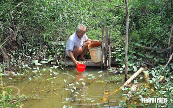 El Nino rất mạnh, gần 13.800 hộ dân Cà Mau có thể thiếu nước