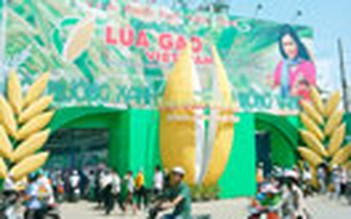 Sôi nổi và thiết thực