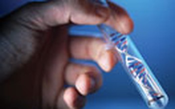 Đoán tuổi thọ từ ADN