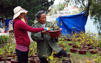 Nhọc nhằn mang hoa lên xứ lạnh bán tết