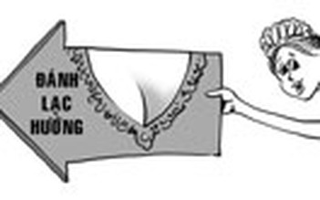 Đánh lạc hướng