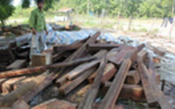 Vụ kiểm lâm “gửi” gỗ: Đã vận chuyển gỗ ra khỏi cửa rừng