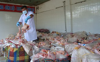 Thu giữ gần 3.000 kg thịt gà thối