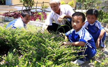 "Ông tiên" cây