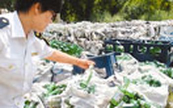 Phát hiện dùng hóa chất độc hại để sản xuất bia ở Trung Quốc