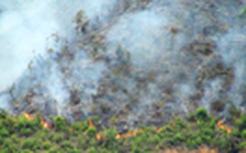 Đốt thực bì gây cháy rừng ở đèo Đại La