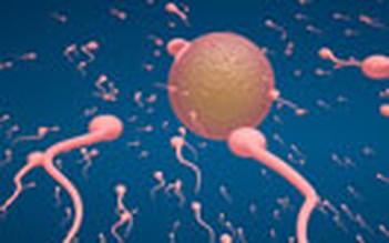 Các kiểu bơi kỳ lạ của tinh trùng