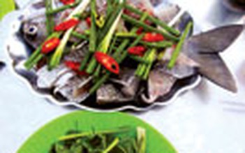 Ra Lý Sơn ăn cá tà ma