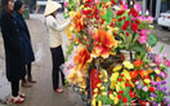 Dịch vụ tết vào mùa - Kỳ 5: Hoa trên đường phố Huế