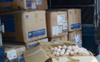 Tạm giữ hơn 10.000 quả trứng gà không kiểm dịch