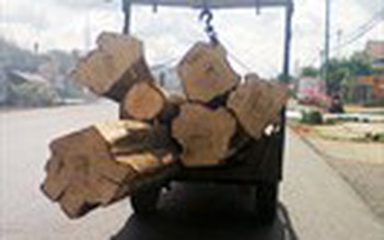 'Lâm tặc' chở gỗ nghênh ngang