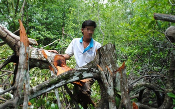 Cán bộ giữ rừng câu kết lâm tặc “tàn sát” khu Ramsar thế giới