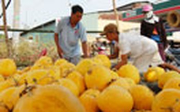 Tấp nập chợ nổi trái cây giữa Sài Gòn