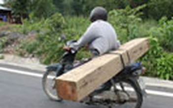 Truy quét gỗ lậu trên đường Nha Trang - Đà Lạt