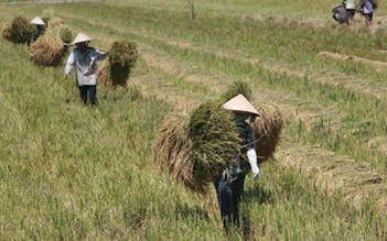 Cần tăng tiền đền bù cho người dân