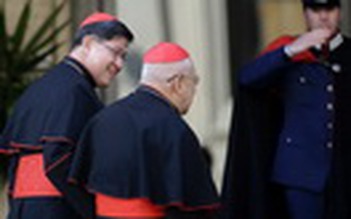 Các hồng y tề tựu về Rome chuẩn bị bầu Giáo hoàng mới