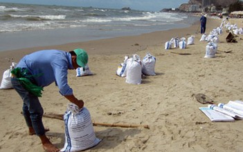 Dầu vón cục tràn vào bãi biển Vũng Tàu