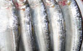 Giảm viêm loét đại tràng