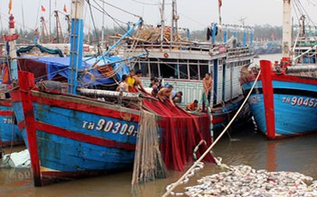 Làm “chui” cho tàu cá Trung Quốc