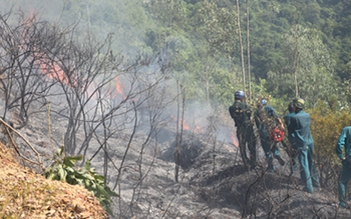 Nguy cơ cháy rừng ở Đà Nẵng đang ở mức rất nguy hiểm