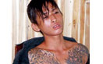 Ngựa quen đường cũ