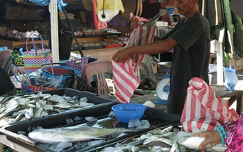 Singapore khan hiếm cá biển