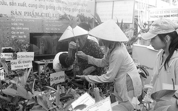 Hội chợ triển lãm nông nghiệp và làng nghề Việt Nam