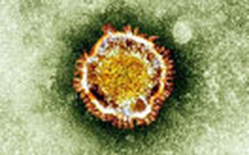 Đã có 49 người chết do nhiễm virus MERS