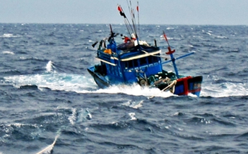 Nhiều tàu cá gặp nạn do ảnh hưởng bão số 5
