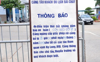 Cấm tàu ra vịnh Hạ Long