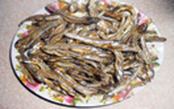 Cá cơm khô mùa biển động