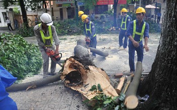 Vụ giám đốc DN công ích nhận lương 'khủng': Chủ tịch UBND TP.HCM ký 3 văn bản chỉ đạo khẩn