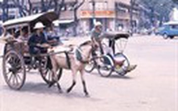 Dấu xưa xe ngựa đường Thiên Lý