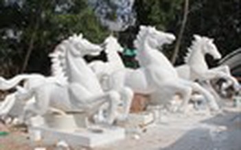 Cận cảnh những chú ngựa ở đường hoa Nguyễn Huệ