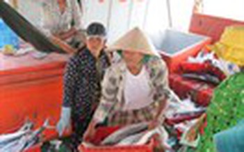 Ngư dân Cà Mau trúng đậm chuyến biển đầu năm
