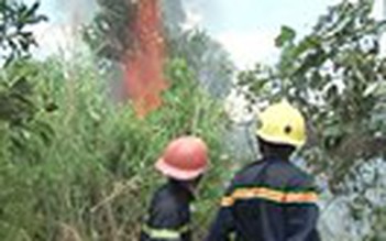 Cháy rừng nam Hải Vân