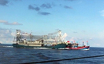 Vụ tàu Trung Quốc đâm chìm tàu cá Việt Nam: Nhân chứng kể lại tội ác man rợ