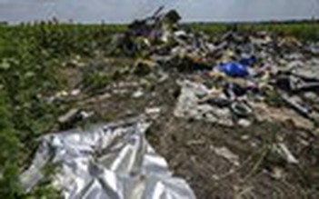 Malaysia Airlines hỗ trợ tài chính cho gia đình nạn nhân MH17