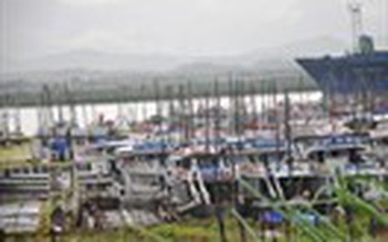 Quảng Ninh liên lạc được 100% tàu xa bờ tránh bão Kalmeagi