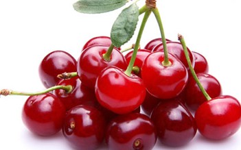 Giảm lượng a xít uric nhờ quả cherry