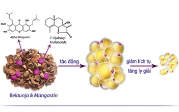 Dùng thuốc giảm cân thế nào cho đúng?