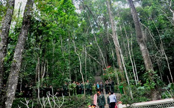 Cây sấu trong rừng Trần Hưng Đạo trở thành cây di sản
