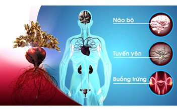 Đừng để bộ hormone nữ suy giảm sớm