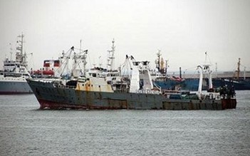 Tìm thấy thêm 11 thi thể vụ chìm tàu cá Hàn Quốc