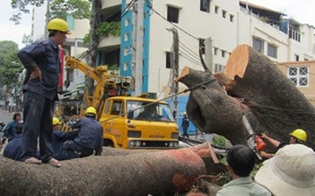 TP.HCM siết chặt quản lý lao động tại các công ty TNHH một thành viên