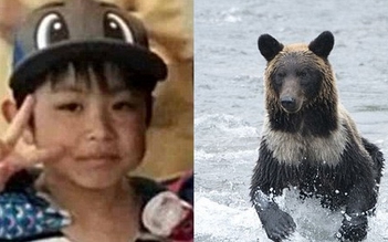Dân mạng cầu nguyện cho bé trai bị bố mẹ bỏ trong rừng đầy gấu