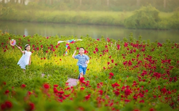 Wellness living – lựa chọn mới của cư dân thời thượng