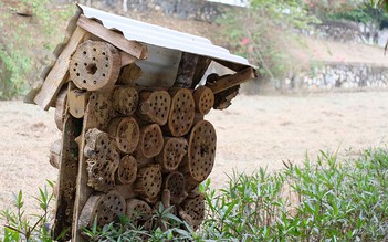 Độc đáo khu bảo tồn thiên thiên bên trong nhà máy mía đường NASU