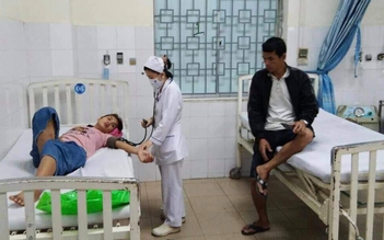 Quảng Ngãi: 7 người nhập viện sau khi ăn nấm rừng