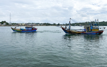 Một ngư dân Quảng Ngãi bị đột quỵ, rơi xuống biển tử vong